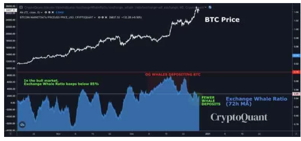 1-8SEG Relatório de pesquisa da PrimeXBT: Bitcoin ultrapassa US $34.000 com o mercado de ações e criptomoedas atingindo novos máximos para dar as boas-vindas a 2021